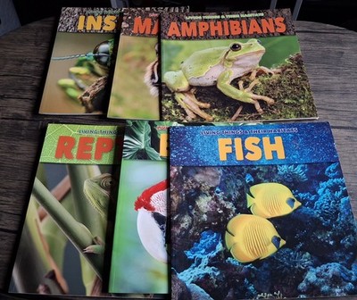 Bundle Of 6 Books Reptiles,Mammals,Birds Fish,Amphibians And Insects 