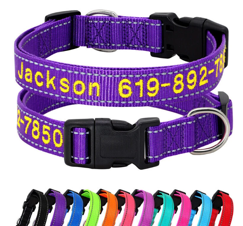 Hundehalsband mit Telefonnummer online kaufen | eBay.de