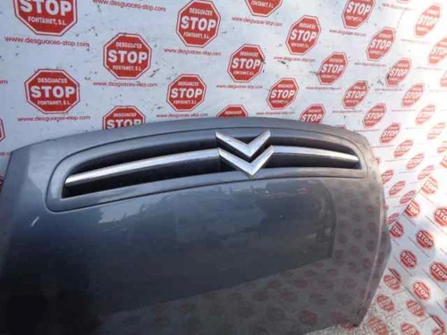 Capo para CITROEN XSARA PICASSO 2.0 HDi Exclusive 2004 744830 - Bild 3 von 7