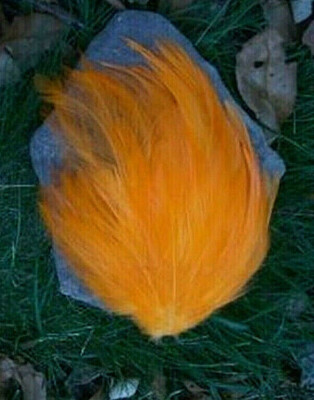 Orange Rooster Feather Pad Hat Headband Purse Decor Sew or Glue on      