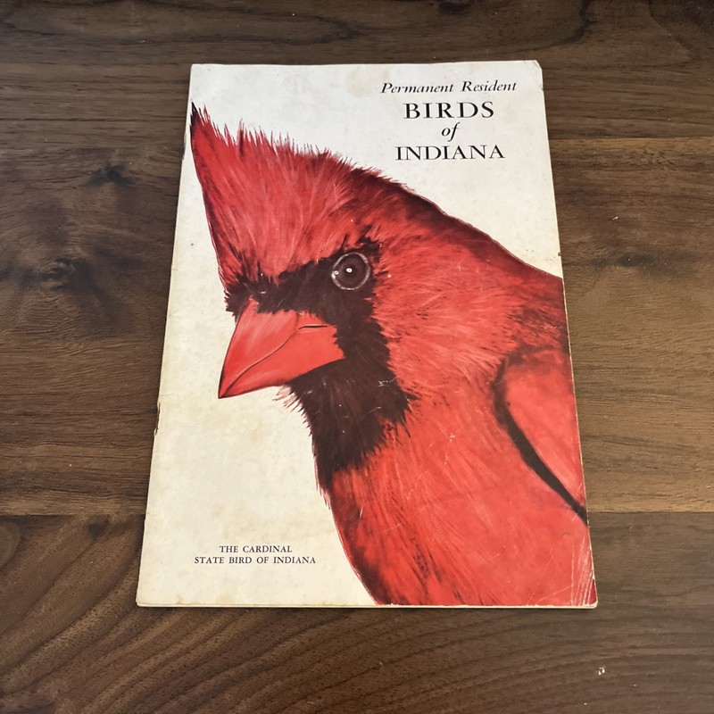 VTG PERMANENT RESIDENT BIRDS OF INDIANA BROCHURE DEPT NATURAL RESOURCES IND1966X