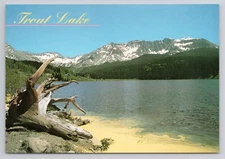Trout Lake Between Ophir And Rico Colorado Postcard