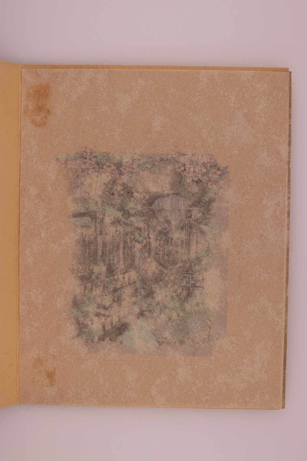 Picture 3