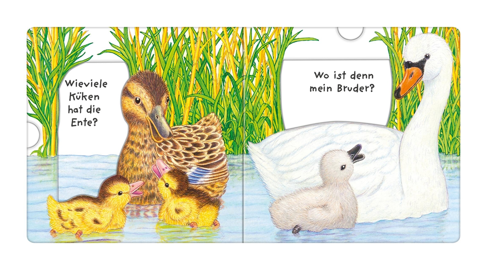 Thumbnail - Helmut Spanner Tierkinder, Wo Seid Ihr? 9783473435159