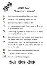 Shih Tzu "Rules for Humans" - CUSTOM MATTED - Dog Art Print : GIFT