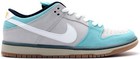 Nike Dunk Pro SB Low Gulf Of Mexico