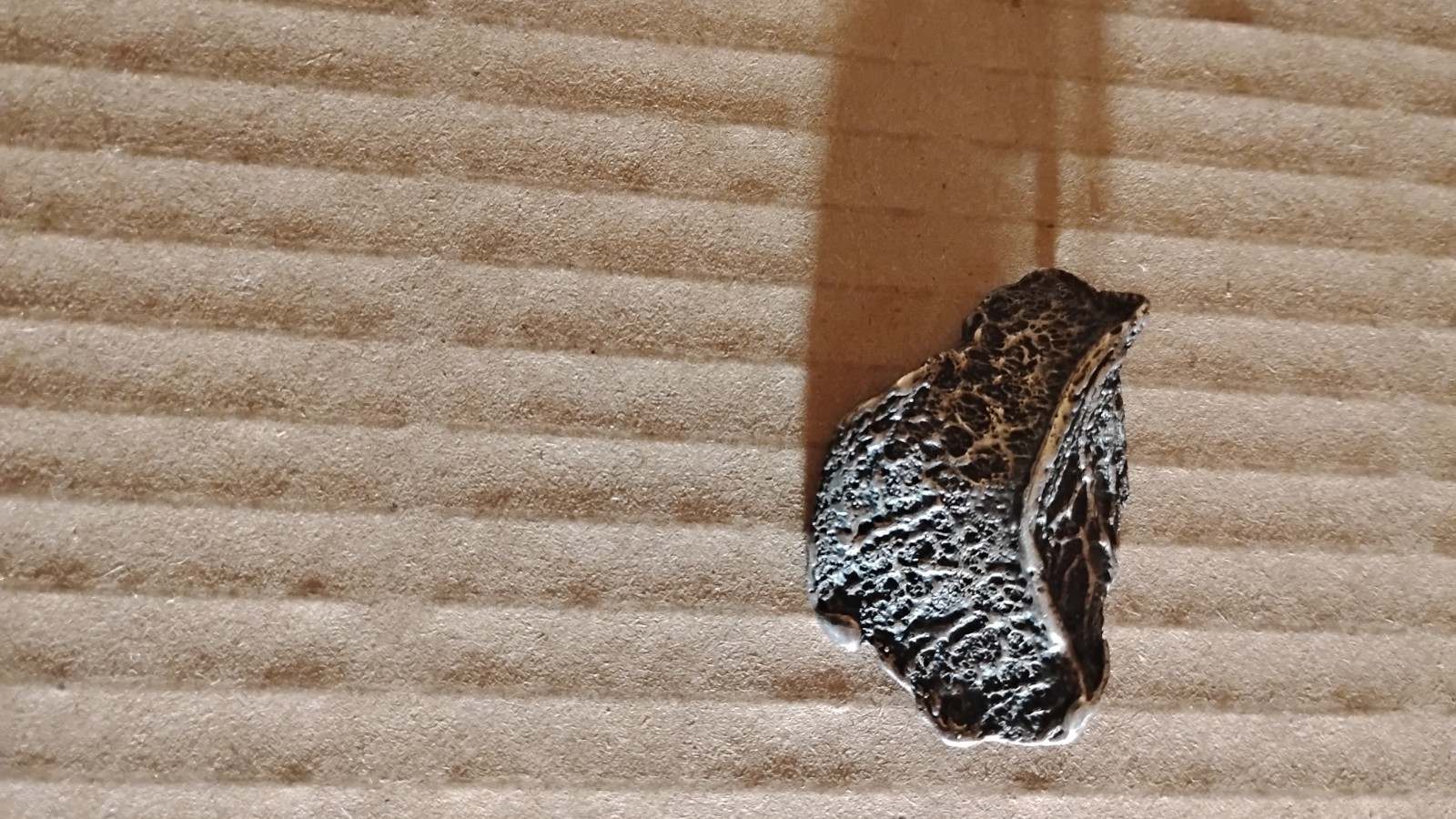 sterling silver leaf designed brooch signed - image 3