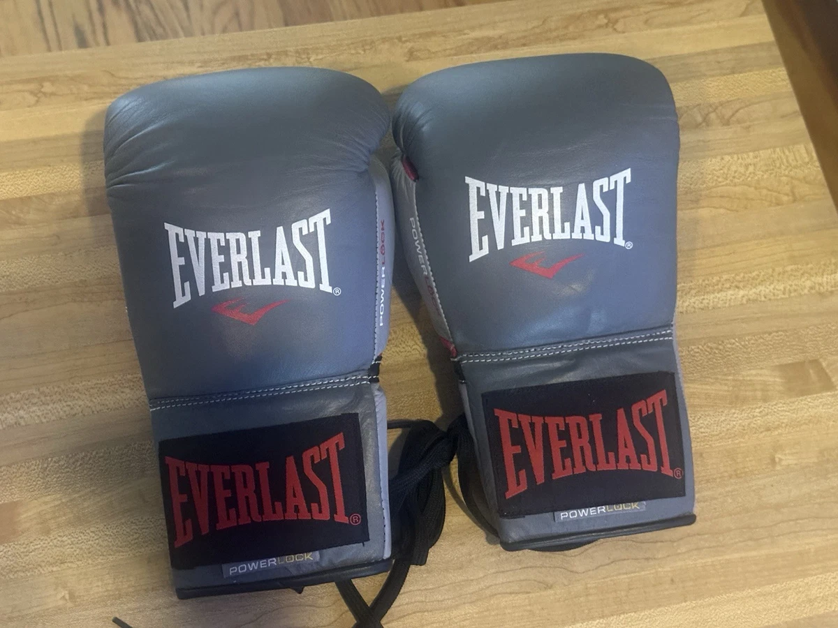 25+ Everlast Boxing Gloves for sale | Updated Sep 2026