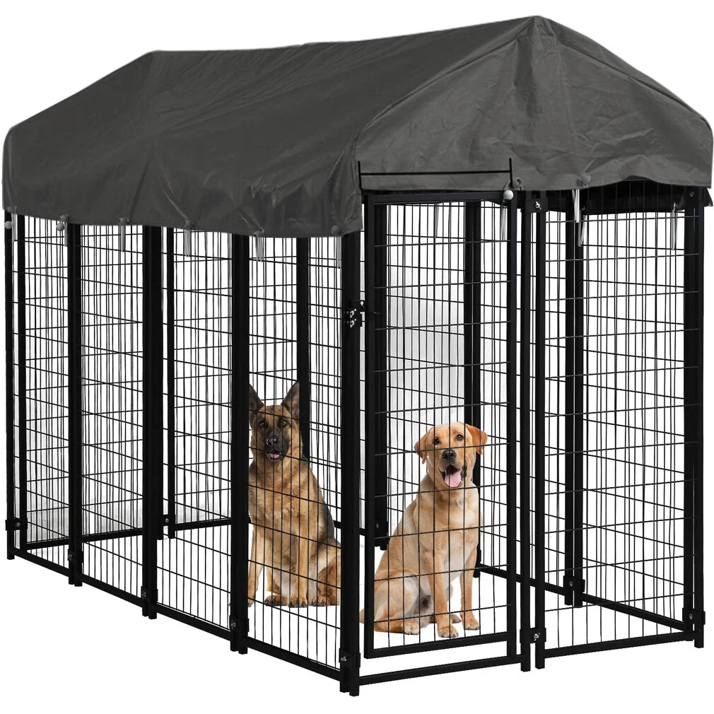 Huge kennel 2025