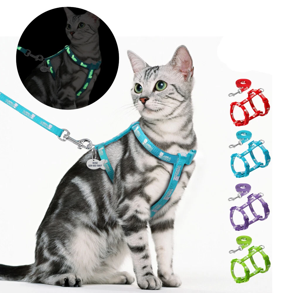 Cat harness and leash outlet