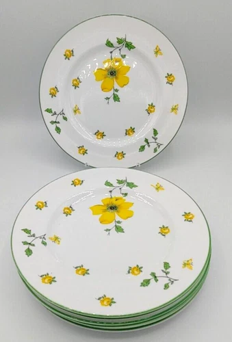 Royal Victoria Fine Bone China 8" Yellow Dogwood Flowers Salad Plates Set of 7
