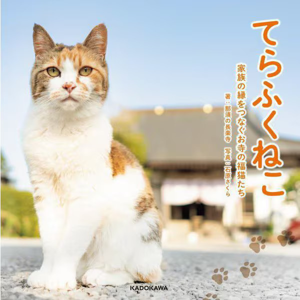 Terafukuneko Lucky Cats Temple Connection Hardcover Japan Import