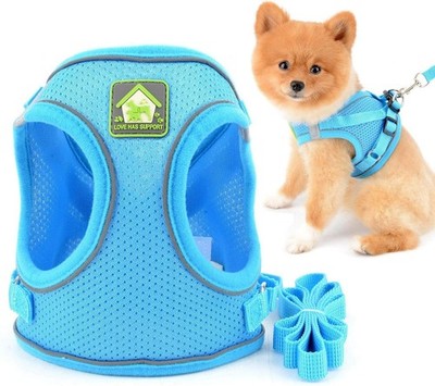 SMALLLEE_LUCKY_STORE Soft Mesh Step-in Geschirr und Leine Set für kleine Hunde/Katzen