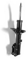 Monroe G16313 StoßDäMpfer StossdäMpfer FüR Hyundai