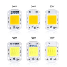 COB LED Lamp Chip 50W 30W 20W 110V 220V DIY LED Bulb Flood Light Diode Spotlight