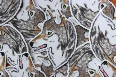 Gray Wolf Head 4'' Vinyl Sticker