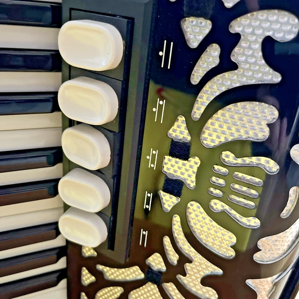 Akkordeon Delicia Junior 32, 48 Bass, 3 und 4 chörig, Modell mit schönem Verdeck - Bild 4 von 4