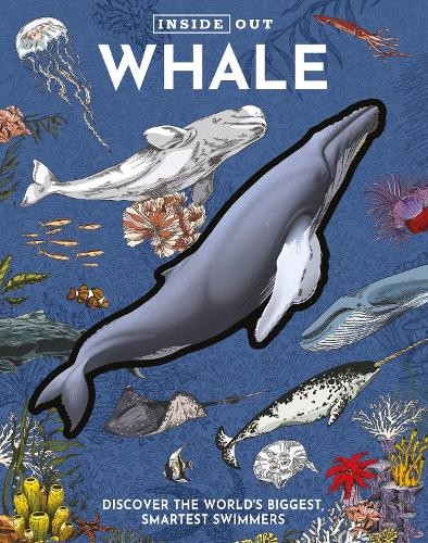 Inside Out Whale by  Editors of Chartwell Books - 9780785847649