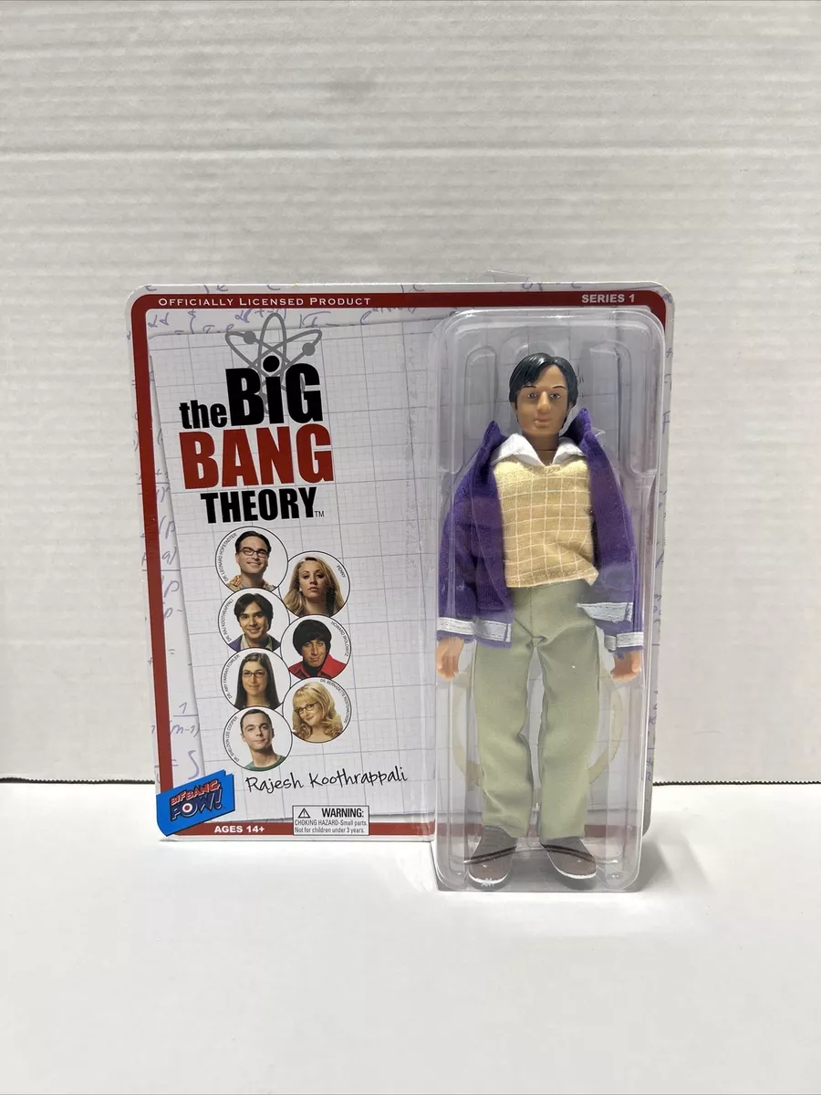 Big bang theory 8 inch figures deals
