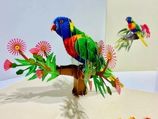 OrigamiPopCards.com Rainbow Lorikeet Spring Bird Pop Up Greeting Card Birthday