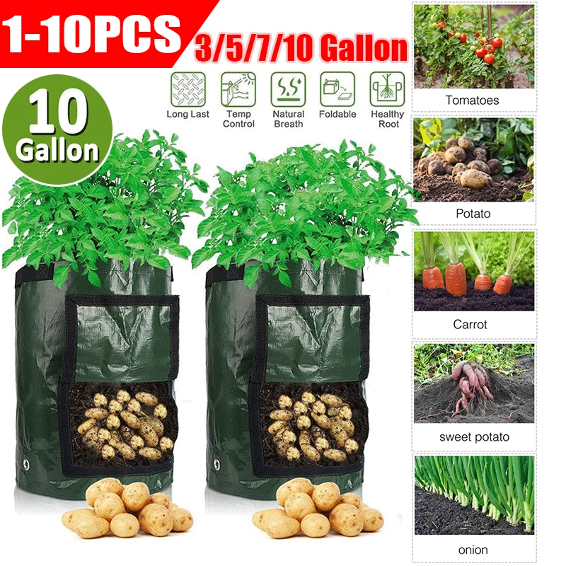 Grow container online