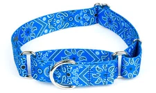 Country Brook Petz® Blue Bandana Martingale Dog Collar