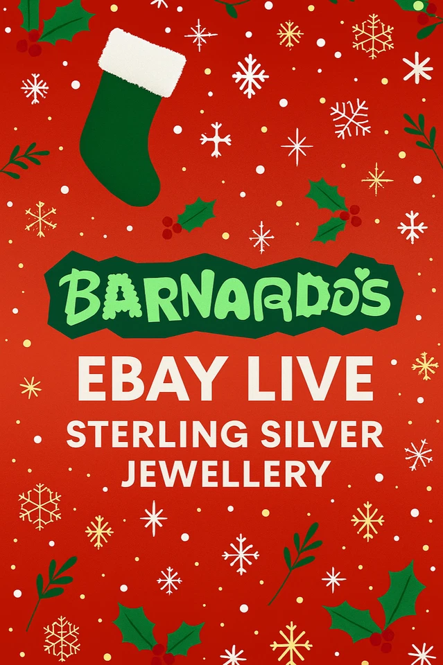 Sterling Silver Jewellery Gift Christmas Present Stream Charity £1 Start💍