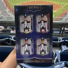 FOCO Exclusive Aaron Judge New York Yankees Harry Potter Resin Bobblehead
