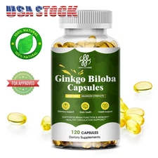 Ginkgo Biloba Extra Strength-Supports Brain Function & Memory Support,120 Cap