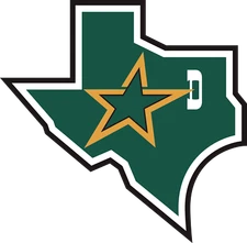 Dallas Stars sticker log NHL weatherproof bumper vinyl decal