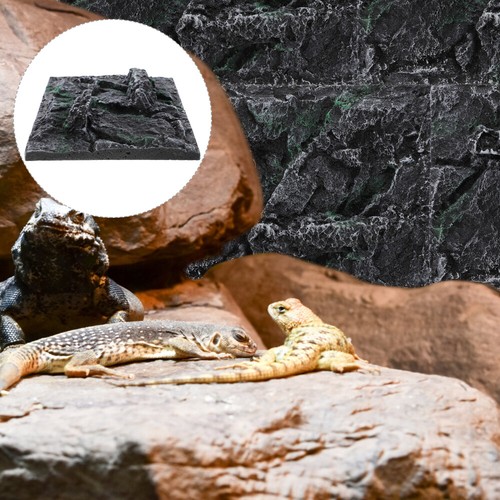 Climbing Pet ventes exceptionnelles Box Background Board Stereo Habitat Decor