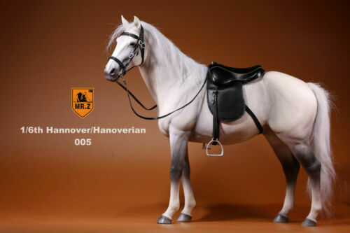 Figura MrZ 1/6 Alemania Hannover Caballo Hannover Animal Modelo Escala 12" EN STOCK - Imagen 46 de 46