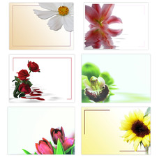 Blank Flower Message Cards - 90mm x 125mm - Florist Supplies