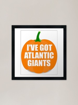 I've Got Atlantic Giants Riesenpumpe gerahmtes Wandbild Poster Leinwanddruck Bild