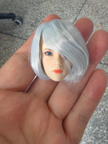 SET019 SUPER DUCK 1/6 Neil Head Model For 12 "Female TBL PH Action Figure Doll - Picture 2 of 6