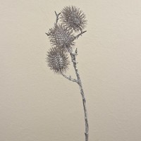 Artplants KüNstlicher Rambutanfrucht Zweig Warda, Braun-Weiß, 60Cm