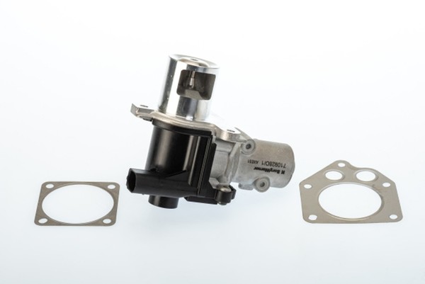 AGR Ventil Borgwarner (Wahler) 710928D/1 FüR Renault Kangoo 2 KW0 FW0 Clio 3 BR0-image