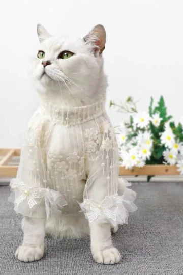 Dog Dress Elegant Lace Floral Embroidered White Spring / Small Dog Dress - Image 4 of 4