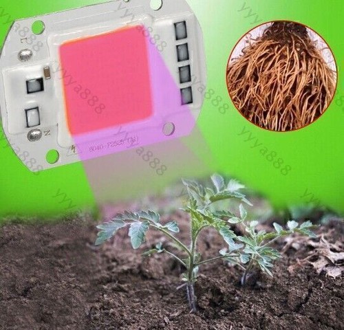 5x 50W Vollspektrum LED COB Grow Light Lampe Vollspektrum für Blumen& Gemüse BE - Bild 3 von 8