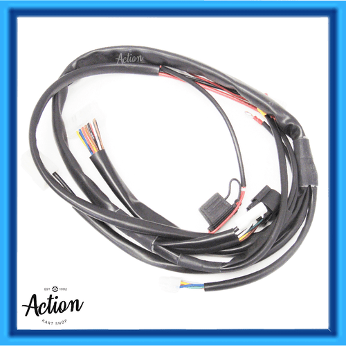 GO KART IAME X30 & RL LEOPARD WIRING HARNESS LOOM KEY START TYPE 2015