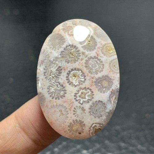Natural Coral Fossil Cabochon 35x19x7.5mm High Quality 48 ct - Picture 2 of 7
