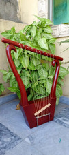 Arpa lira King David a 10 corde in palissandro, stile Megiddo, con custodia e ch