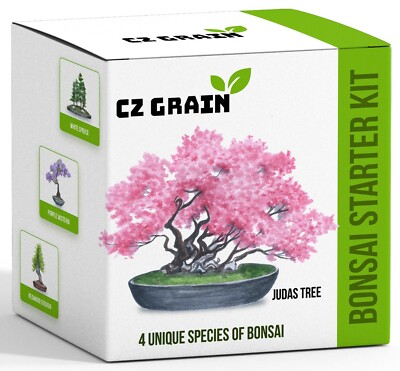 Bonsai Tree Kit - Grow 4 Types of Bonsai Tree from Seed - Highly Desired  Species | eBay