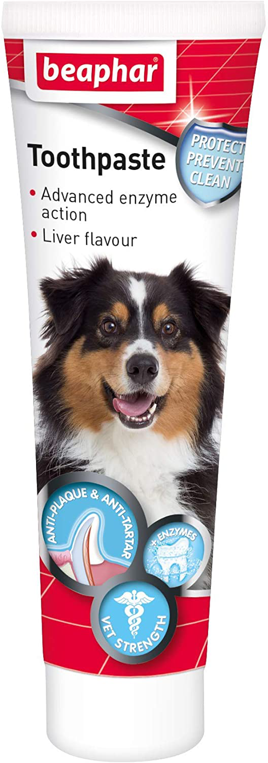 Beaphar Toothpaste for Dogs And Cats, 100g