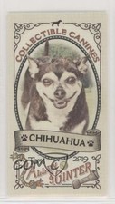 2019 Topps Allen & Ginter Collectable Canines Minis Chihuahua #CC-16 4ac