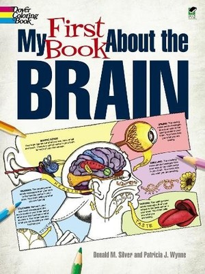 Patricia J. Wynne Donald M. Silver My First Book About the Brain (Taschenbuch)