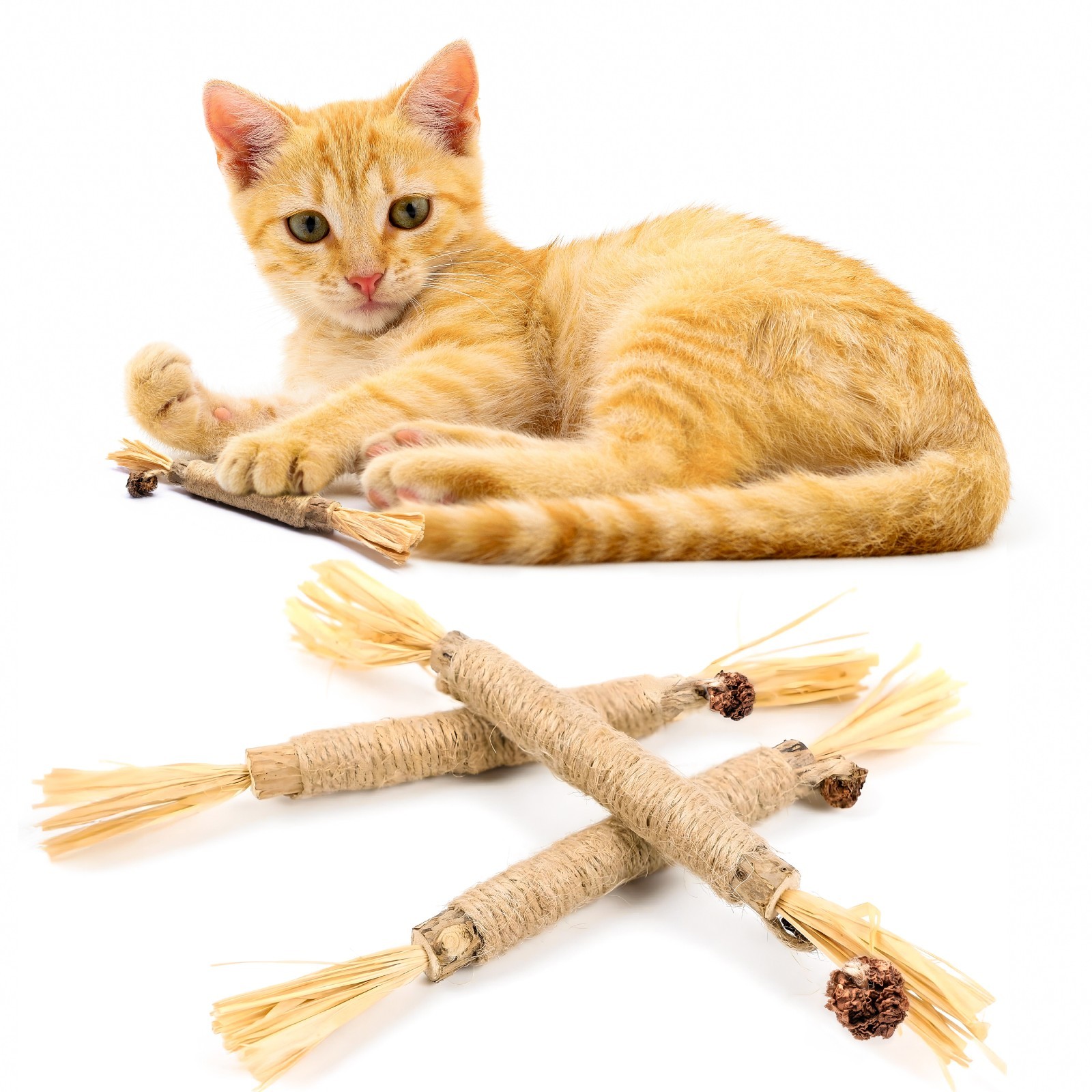 3-Pack Natural Silvervine Sticks for Cats - Catnip Chew Toys for Teeth Cleaning