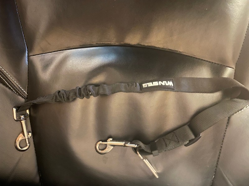 WINSEE - DOG SEAT BELT / SAFETY BELT - USED