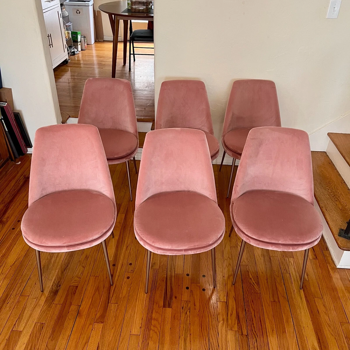 Finley low back dining chair new arrivals