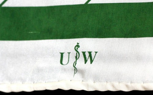 NEW VTG 30"x30" University Washington WHITE GREEN STRIPED 100%SILK WRAP SCARF - Picture 3 of 8